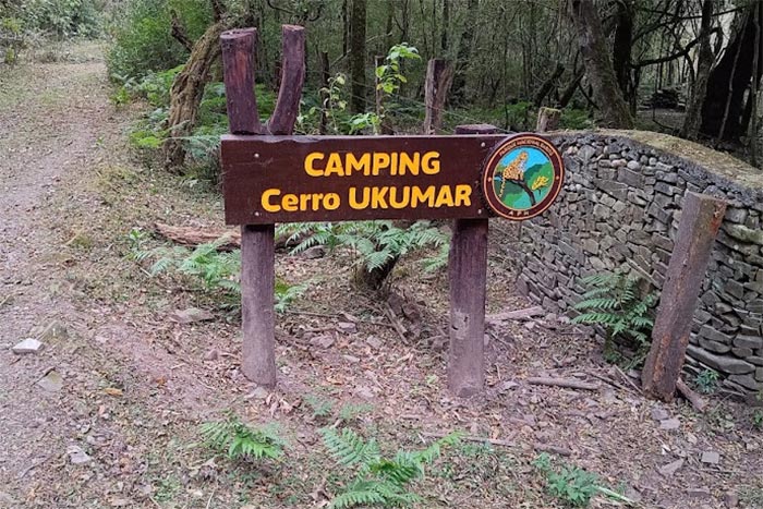 Cartel de madera del Camping Cerro Ukumar entre helechos y selva, Parque Nacional Baritú
