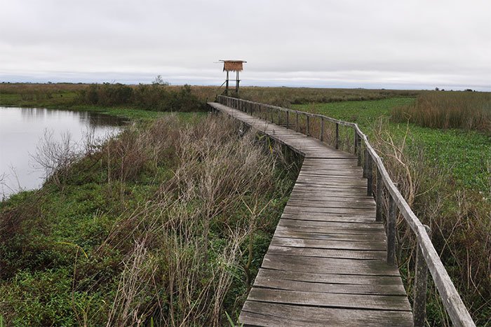 Pasarela de madera con mirador sobre los esteros, sendero del Parque Iberá