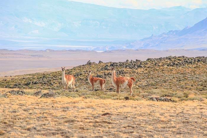 parque patagonia