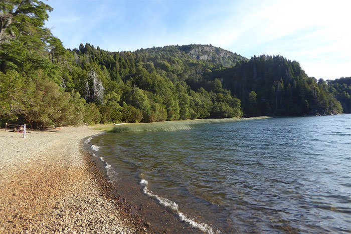 Playa de piedras en la orilla del Lago Verde rodeada de bosque, Parque Nacional Los Alerces