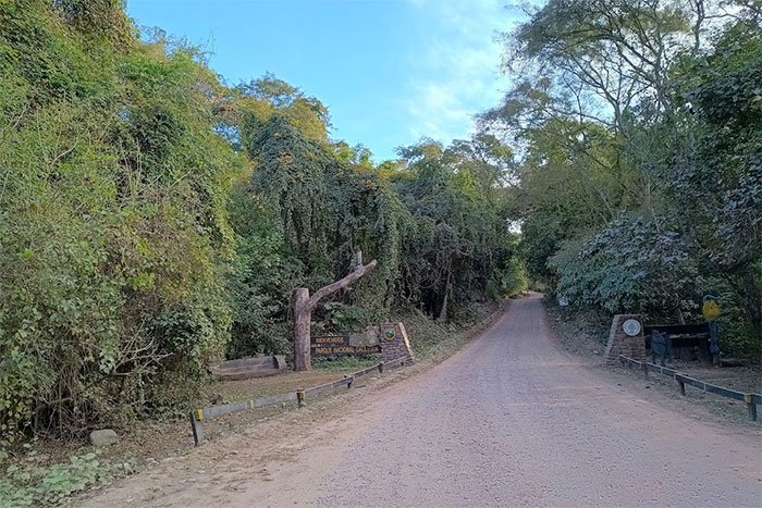 Camino de ripio de la Ruta Provincial 83 entre la selva en el ingreso al Parque Nacional Calilegua