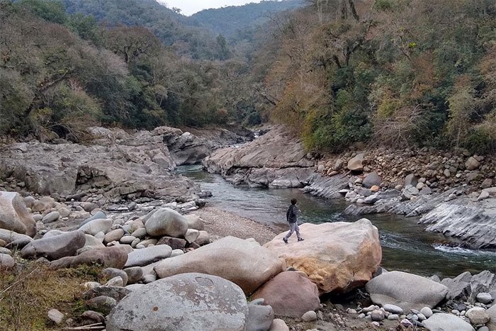 Río Lipeo entre rocas y laderas de selva de yungas, Parque Nacional Baritú