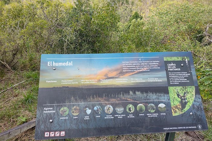 Cartel interpretativo sobre el humedal y sus habitantes junto a un sendero, Parque Nacional Ciervo de los Pantanos