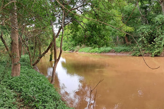 Río Bermejito de aguas marrones entre árboles del monte, sendero del Parque Nacional El Impenetrable